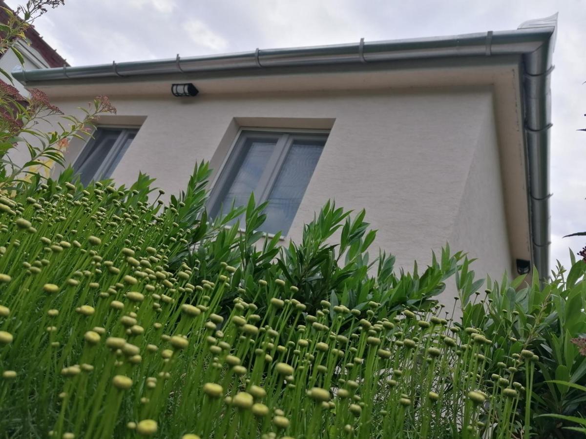 Levelke Mini Apartman Gárdony Zewnętrze zdjęcie
