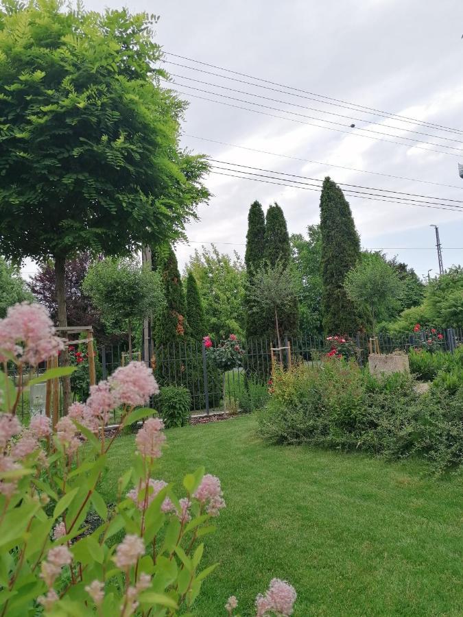 Levelke Mini Apartman Gárdony Zewnętrze zdjęcie